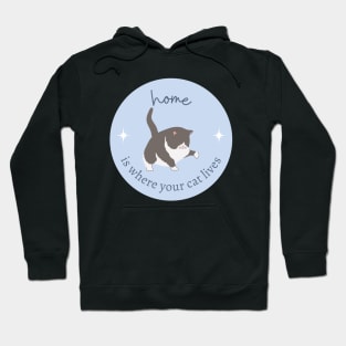 Home Is Where Your Cat Lives Cute Kitten Hoodie